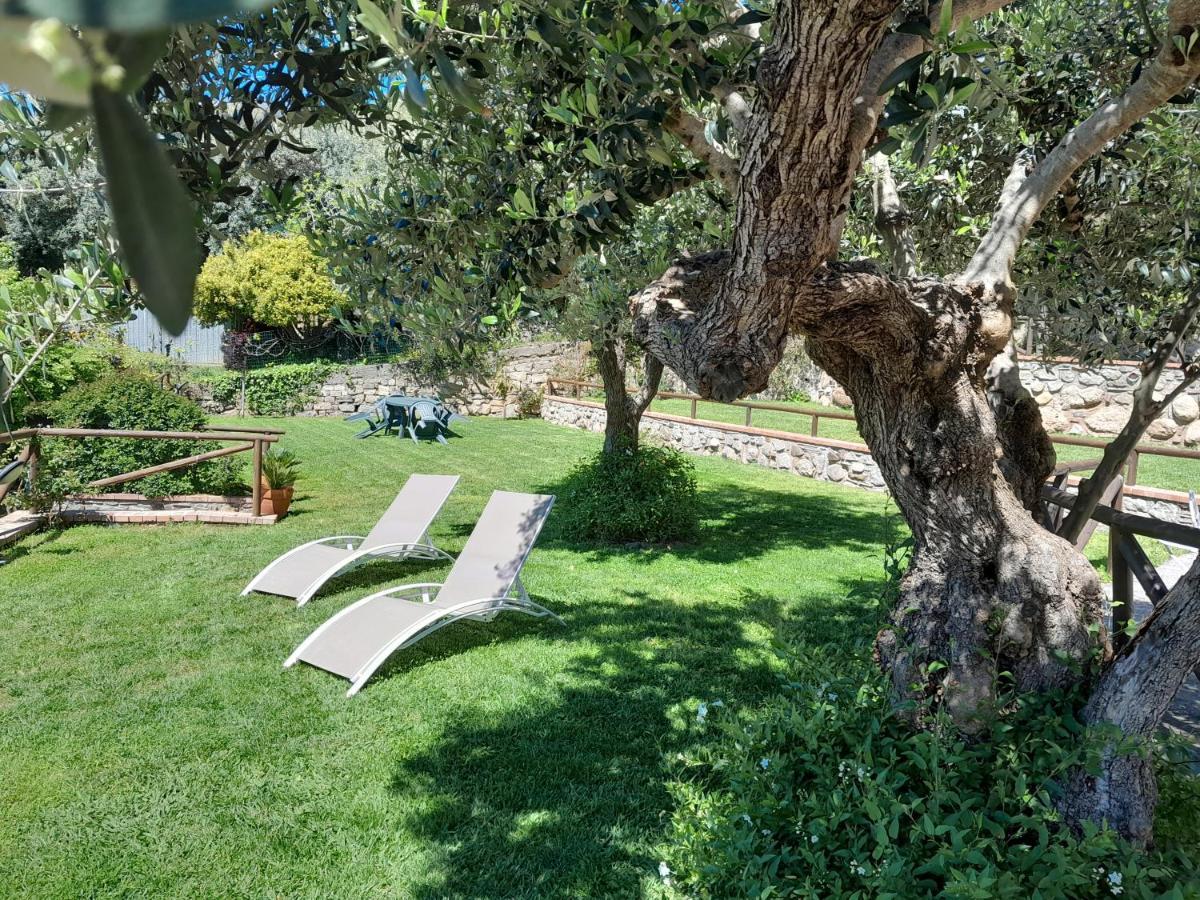 Marina Di Casal Velino Casa Vacanze Dominella 빌라 외부 사진